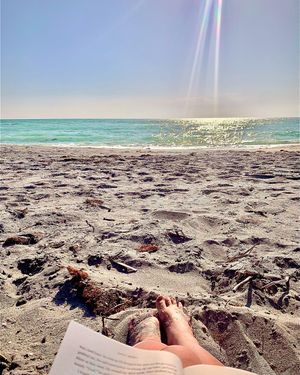 Image post by @visitsarasotacounty on Instagram