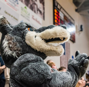 Image post by @gobonnies on Instagram