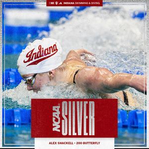 Image post by @indianaswimdive on Instagram