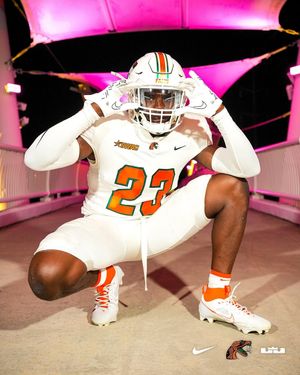 Image post by @famufb on Instagram