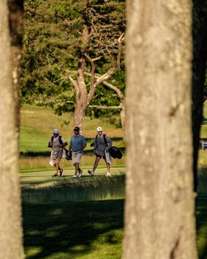 Image post by @playmassgolf on Instagram