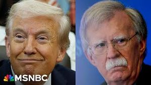Video post by @msnbc on YouTube