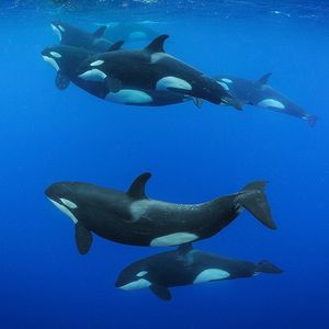 Image post by @natgeo on Instagram