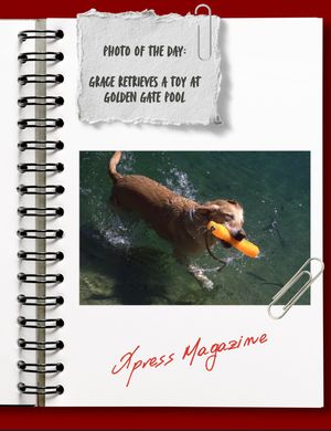 Image post by @xpressmagazine on Instagram