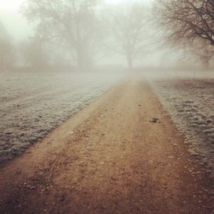 Image post by @lebonjohntaylor on Instagram