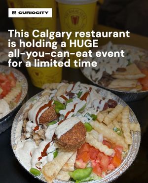 Image post by @curiocitycalgary on Instagram