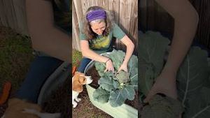 Video post by @annathearcher on YouTube
