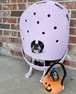 Text post by @Crocs on Twitter/X