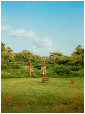 Image post by @alexkittoephotos on Instagram