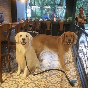 Image post by @mikethewhitegolden on Instagram