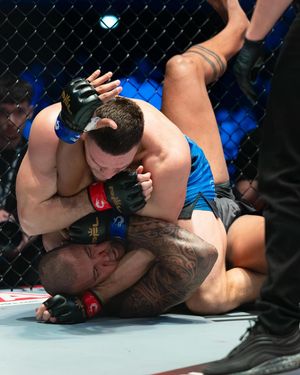 Image post by @pflmma on Instagram