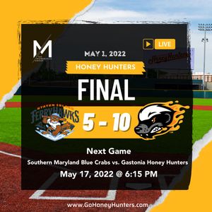 Image post by @gohoneyhunters on Twitter