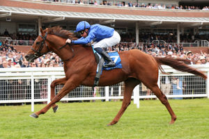 Image post by @godolphin on Instagram