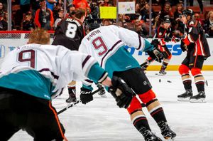 Image post by @anaheimducks on Instagram