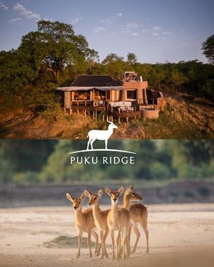 Image post by @chiawasafaris on Instagram