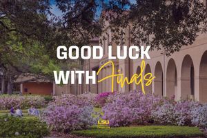 Image post by @lsucampuslife on Instagram