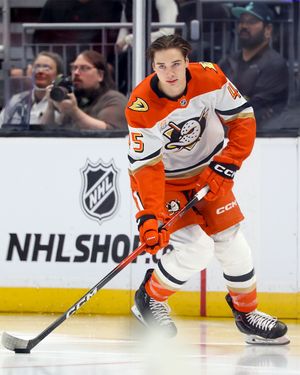 Image post by @anaheimducks on Instagram