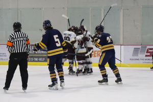 Image post by @d3mostateicebears on Instagram