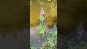 Video post by @jonasederfishing on YouTube
