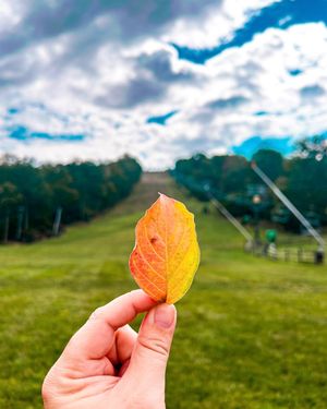 Image post by @roundtopmtn on Instagram