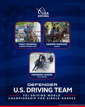 Image post by @usequestrian on Instagram