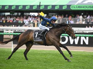 Image post by @worldhorseracing on Instagram