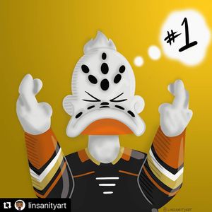 Image post by @anaheimducks on Instagram