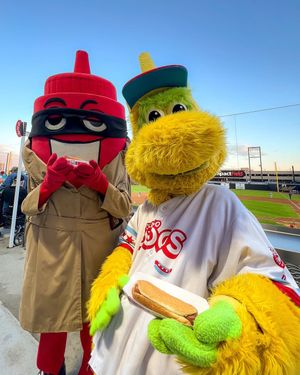 Image post by @thechicagodogs on Instagram