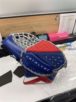 Image post by @goaliegearnerd on Instagram