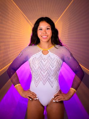 Image post by @lsugym on Instagram