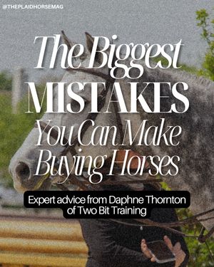 Image post by @theplaidhorsemag on Instagram