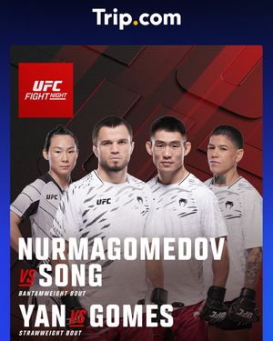 Image post by @ufc_korea on Instagram