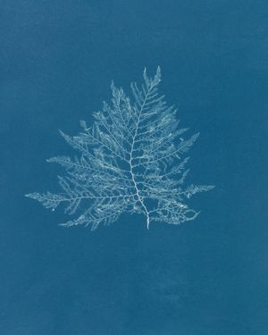 Image post by @unsplash on Instagram