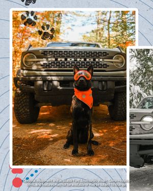 Image post by @Ford on Twitter