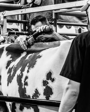 Image post by @claycombphoto on Instagram