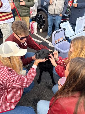 Image post by @bostoncollege on Instagram