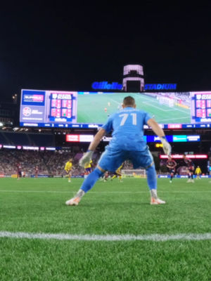 Video post by @nerevolution on TikTok