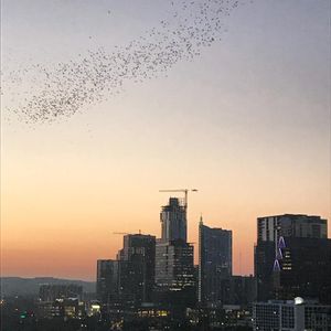 Image post by @rob.s.simon on Instagram