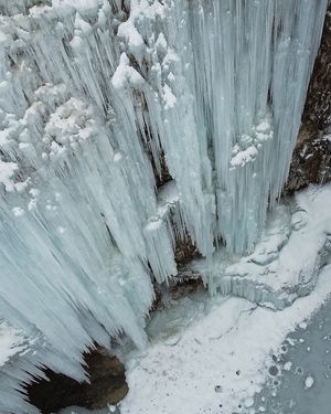 Image post by @cristan.nature.photography on Instagram