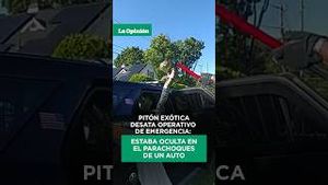 Video post by @laopinionla on YouTube