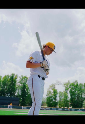 Video post by @theloganholland on TikTok