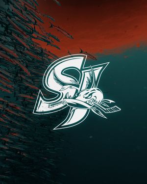 Image post by @sjbarracuda on Instagram