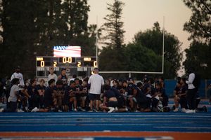 Image post by @lizagazaryanphotography on Instagram