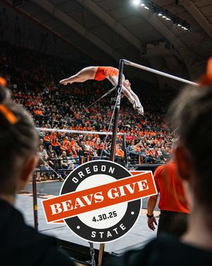 Image post by @beavergym on Instagram