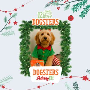Image post by @dogstersicecream on Instagram