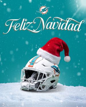 Image post by @losdolphins on Instagram