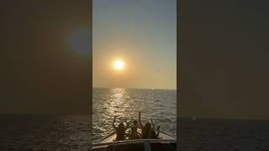 Video post by @thewingrovefamily on YouTube