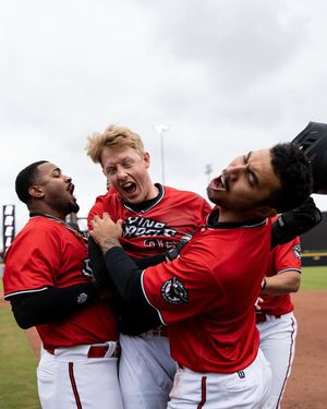 Image post by @gosquirrels on Instagram