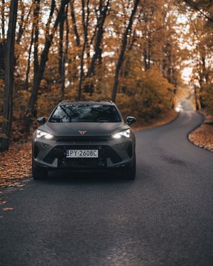 Image post by @cupra_official on Instagram