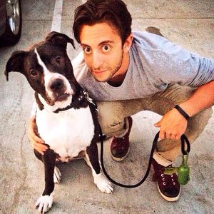 Image post by @realadamrose on Instagram